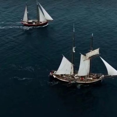 yangchipurple's profile picture. 