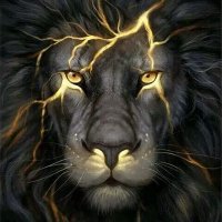 Izem (@izem000) 's Twitter Profile Photo Izem (@izem000) 's Twitter Profile Photo