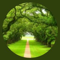 Ikhtiar (@6ikhtiar) 's Twitter Profile