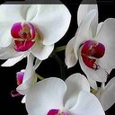 maureen tyson - @pinkfloyd7 - Twitter