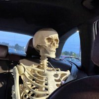 The Ghost of Elon’s Future (@dunmore200) 's Twitter Profile
