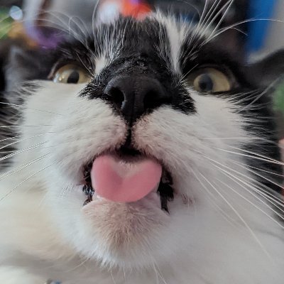 FiggyPopcorn Profile Picture