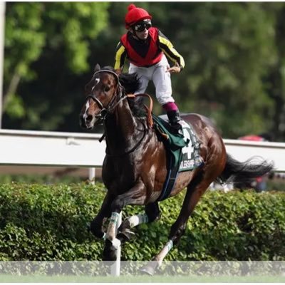 Tatsu75120437's profile picture. 2022年菊花賞からG1公開予想7連勝！/朝日杯FS◎アドマイヤズーム、JC◎シンエンペラー、ホープフル◎ジョバンニで的中！/結果重視なので見て下さい！