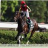 Tatsu75120437's profile picture. 2022年菊花賞からG1公開予想7連勝！/朝日杯FS◎アドマイヤズーム、JC◎シンエンペラー、ホープフル◎ジョバンニで的中！/結果重視なので見て下さい！