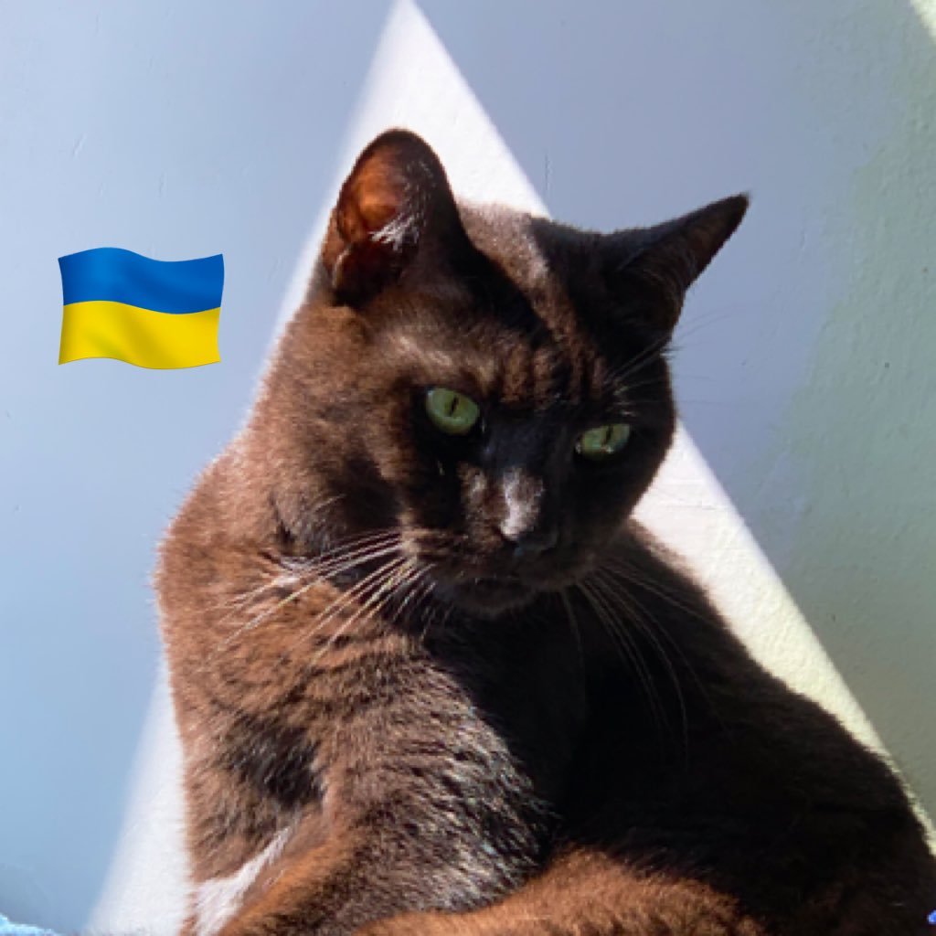 anamariesobe's profile picture. 