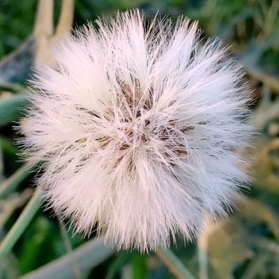 sharmamohan227's profile picture. जय जय श्री राम 🙏