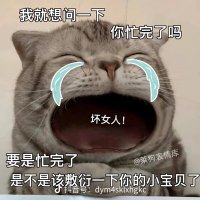 Rex (@7m8o4pccd1yuioz) 's Twitter Profile Photo Rex (@7m8o4pccd1yuioz) 's Twitter Profile Photo