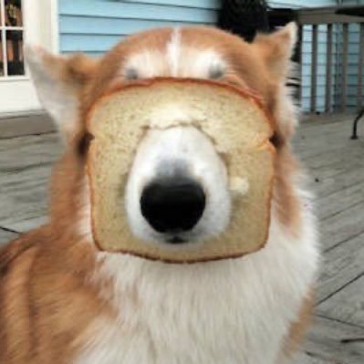 breaddog is for breakdowns