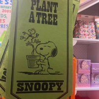 Deb (@fastey) 's Twitter Profile