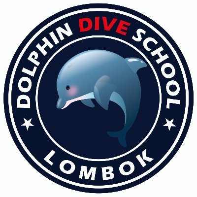 We are Local Dive Company in Lombok. We offer you all PADI diving courses from beginner to Dive Master and Daily Dive Trips around north and south Gili's
