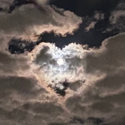 beanssparrow's profile picture. 23 she/ her