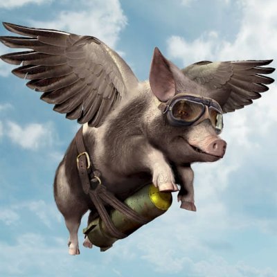 flyingpig_sj's profile picture. When pigs fly...
I am B R Double I Z E🖖🏼
I am the Dark Force 🌪️
Forever Teeny 🧡
