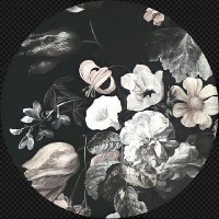 جواهر (@jwr_al) 's Twitter Profile