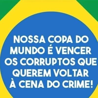 Brasileiro 🇧🇷, patriota, conservador e cristão. À favor da justiça, da família e dos bons costumes. Contra a corrupção, impunidade e esquerdistas.