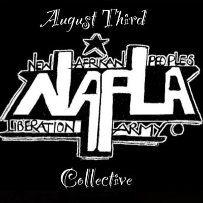 August Third Collective Cadre of NAIM | Stand Up Struggle Forward 🟩🟥⬛️ | 