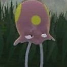 im alex (@snockhit) 's Twitter Profile Photo