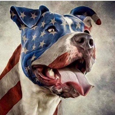 Trumpfan1228 Profile Picture