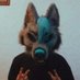 Guyra (@guira_azule) Twitter profile photo Guyra (@guira_azule) Twitter profile photo