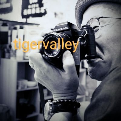 Tiger Valleyさんのプロフィール画像