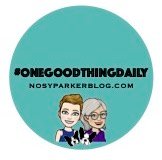 Nosy Parker Blog Editor, Disabled Artist/Maker, and Family Caregiver finding #OneGoodThing daily for 2.9K+ days!