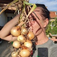 Kalorin_Pöw (@kladdis91) 's Twitter Profile
