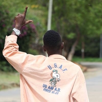 arvedro_de_20's profile picture. 