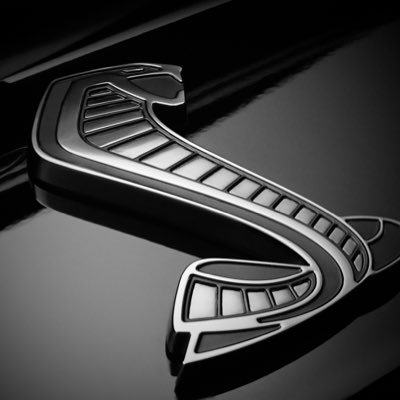 Tim49020514's profile picture. 