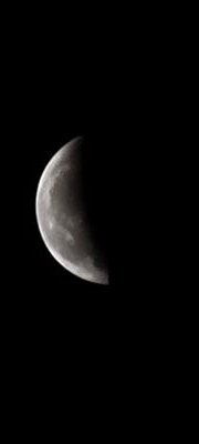 0xwildw's profile picture. 021 随缘交友