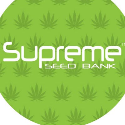 Supreme Seedbank offers the best selection of Cannabis Seeds and Clones from the best breeders in the Cannabis Industry! Fast Shipping, Best Selection
