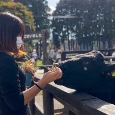 deden_buhi_buhi's profile picture. ネットワーク⇨セキュリティ🐶