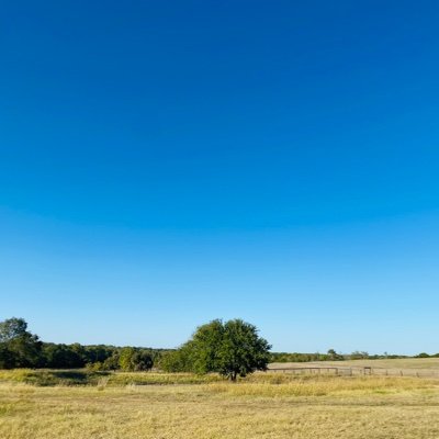 matthewmoonsong's profile picture. 