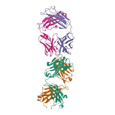 Profile photo: Image from the RCSB PDB (https://t.co/f9Jnc7vtRA) of PDB ID 5JO4