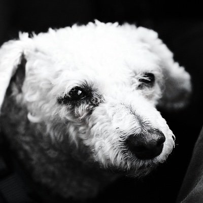 rexeuscom's profile picture. 