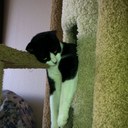 Randall Kay - @rkush98 - Twitter