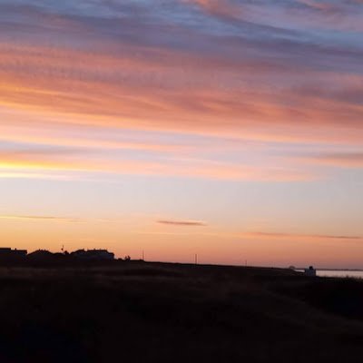 William47989312's profile picture. 