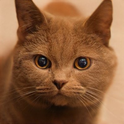 MaryWel50047920's profile picture. 