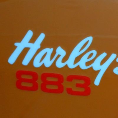 studiogenkids's profile picture. 沖縄生まれ埼玉育ち、釣り、バイク、ガンダム、仮面ライダー、キャンプ、チャーハンが好物なとーちゃん。
娘様は好物が違うのが悩み⤵️
リトルトゥース