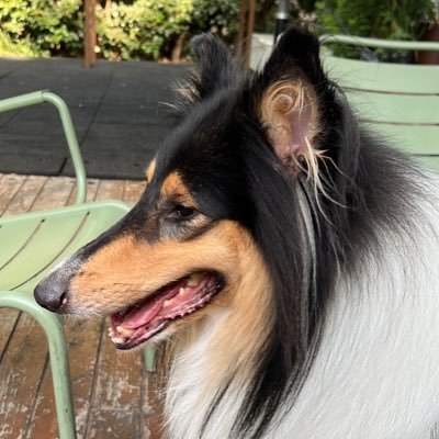 Good_sign1's profile picture. 🚀