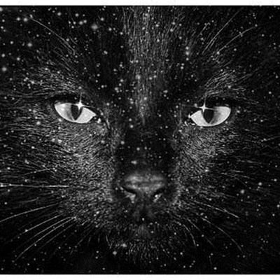 EthelHo06214972's profile picture. 懂事的人一旦不配合，就被认为没良心。任性的人稍微乖巧一回，就会被夸的不停。