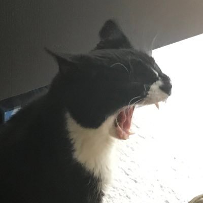 DominnoP's profile picture. 