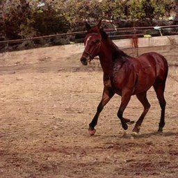 AmberKuhar7's profile picture. 