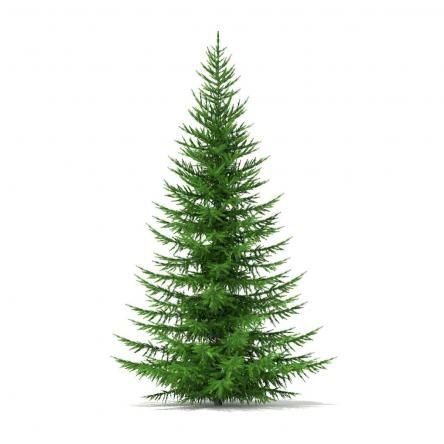 🌲🌲من کاجم🌲🌲
کمک کنید تا دستم به آسمان برسد
پیش خدا شکایت کنم
