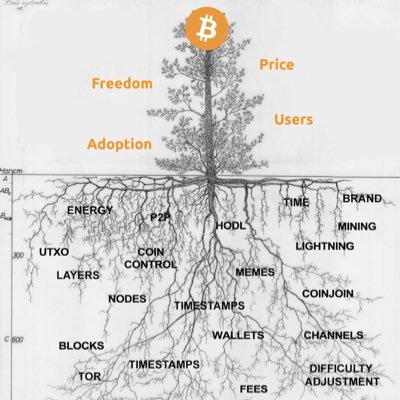 RegTora's profile picture. Senior Partner & COO SILICON STRATEGY CONSULTING