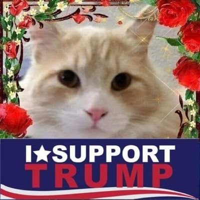 Ultra Maga 🇺🇸🇺🇸, pro-Trump, America 1st, Navy brat/mom(MIL)/sister; mom & grandma, Christian/Conservative. NO DMs! DMs=BLOCK   🇺🇸🇮🇱🙏🏻 ❤️❤️