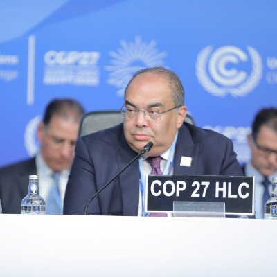 Mahmoud Mohieldin Profile