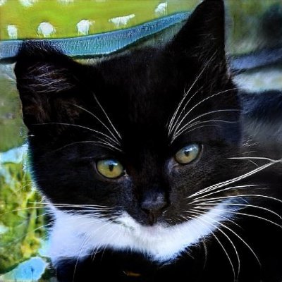 SummerW56596385's profile picture. 