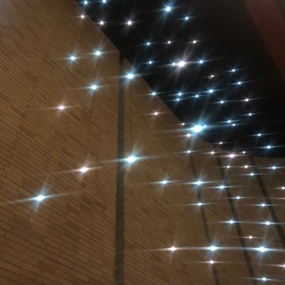 Tacet_oyasumi's profile picture. ライトでミーハーなクラシックファン。大フィル推し。平日はプロオケを聴き週末はアマオケで吹く。