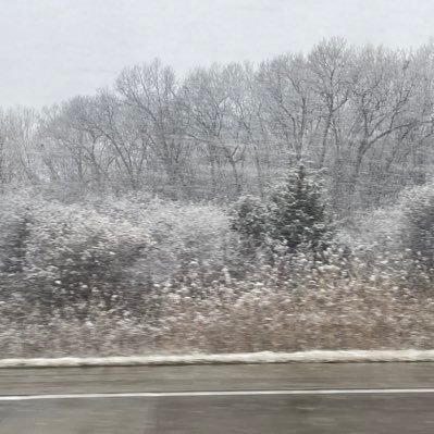 cssommerfeld's profile picture. 