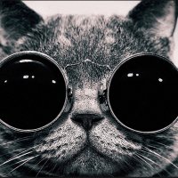 Maria Kharkiv(💙,🧡) (@kharkivmaria) Twitter profile photo