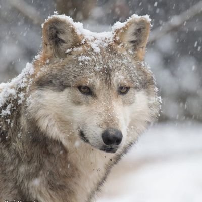 ReuilDe's profile picture. Avant tout, la cause des enfants. A quand une justice digne de ce nom ?
🌏